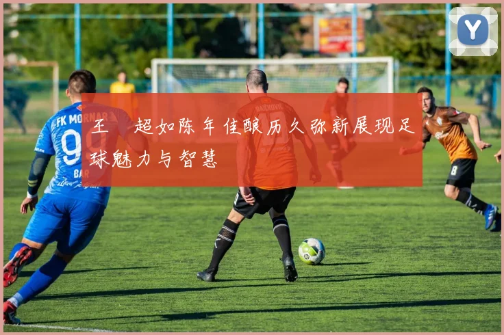 王燊超如陈年佳酿历久弥新展现足球魅力与智慧