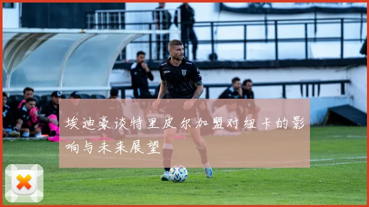 埃迪豪谈特里皮尔加盟对纽卡的影响与未来展望